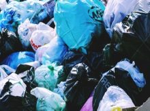 ely plans plastic bag free city center