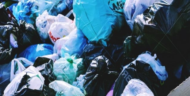 ely plans plastic bag free city center