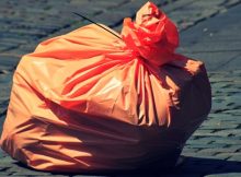 Salmon Arm likely to pioneer plastic bag ban in British Columbia