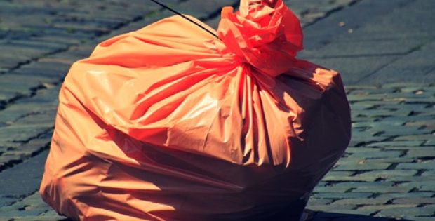 Salmon Arm likely to pioneer plastic bag ban in British Columbia